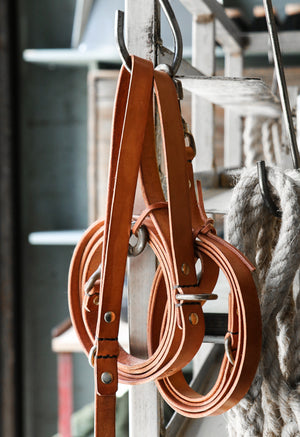 Pets - Leads And Toys