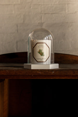 Carriere Freres Cedar Candle