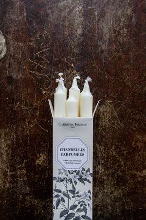 Carriere Freres Taper Candles Jasmine