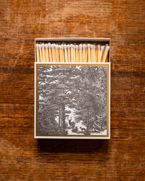 Archivist Enchanted Forest Matches in Square Matchbox