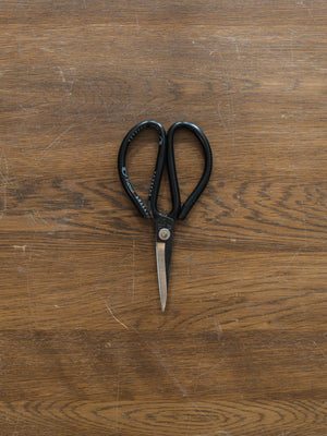 Everything Scissors