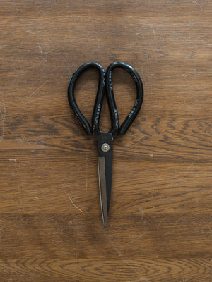 Everything Scissors