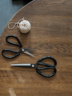 Everything Scissors