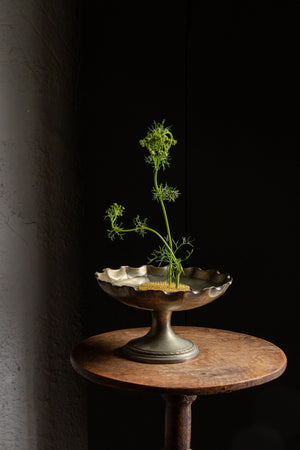 Kenzan Flower Frogs