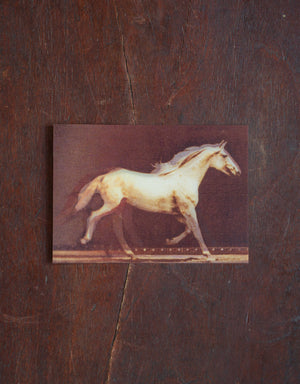 Lenticular Running Horse Postcard