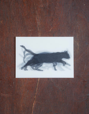 Lenticular Muybridge Cat