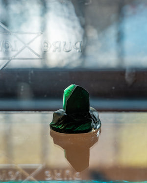 Luna Ryan Island Homes Dark Green