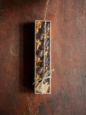 Monsieur Truffe Easter Bunny Novelties