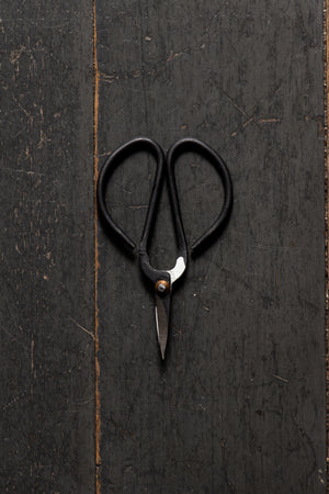 Nutscene Vintage Style Scissors