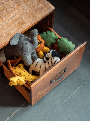 Pashom African Play Set
