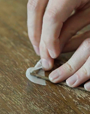 Tea Tree Paper Lantern Kit By The Hub General Store