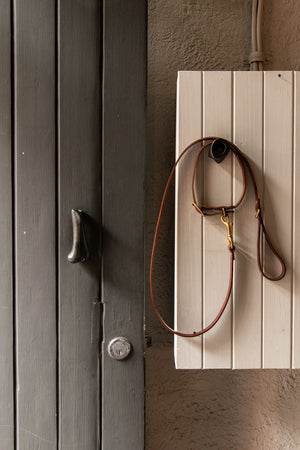 Studio Tops Collar Tan