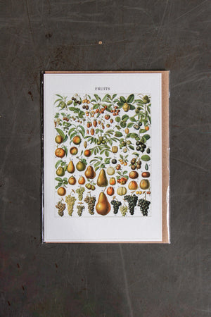 The Pattern Book Press Fruits