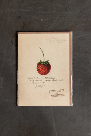 The Pattern Book Press Strawberry Card