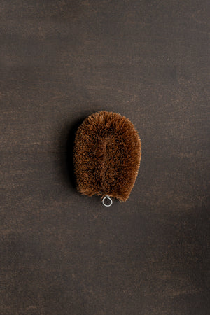 Turtle Cleaning Brush