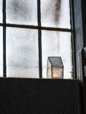 Tea Tree Paper Lantern Kit By The Hub General Store