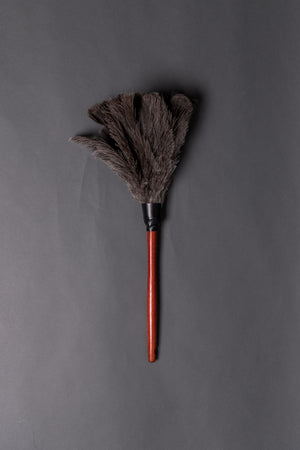 Redecker Ostrich Black Feather Dusters