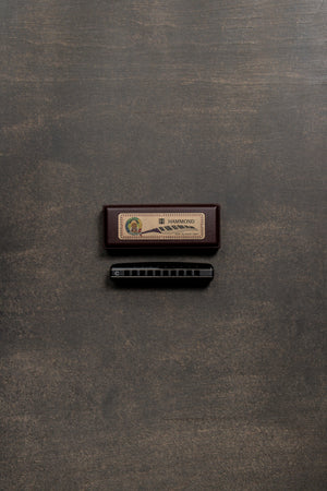 Suzuki Promaster Diatonic Harmonica