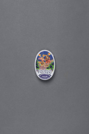 Anis De Flavigny Pastilles