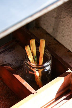 Penco Brush Writer Pen