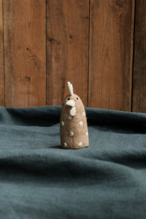 Pashom Chicken Egg Cosy