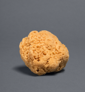Redecker Bath Sponge - 14cm