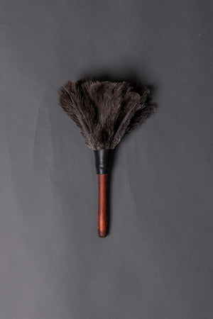 Redecker Ostrich Brown Feather Dusters
