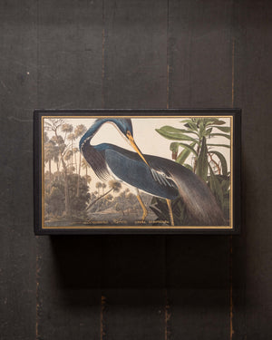 Archivist Louisiana Heron Giant Matches In Giant Matchbox