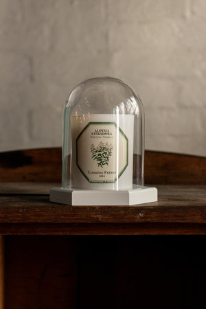 Carriere Freres Verbena Candle
