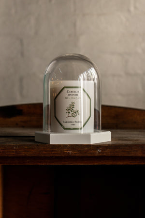 Carriere Freres Tea Plant Candle