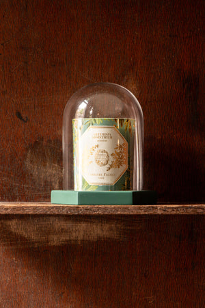 Carrière Frères x The Museum Absinthe Candle. 'Artemisia Absinthium'