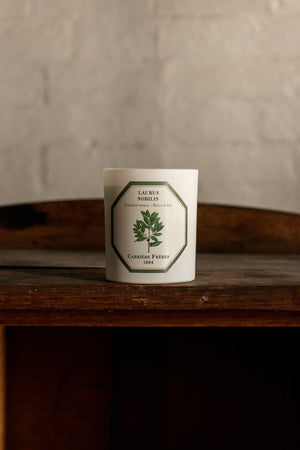 Carriere Freres Bay Laurel Candle