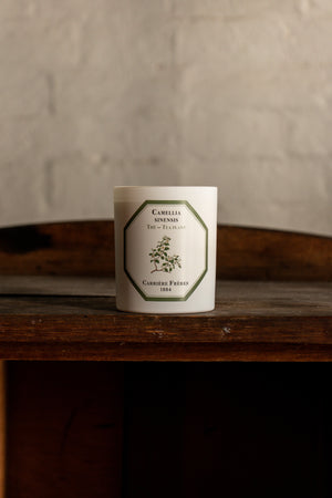 Carriere Freres Tea Plant Candle