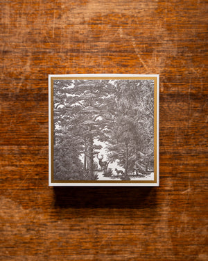 Archivist Enchanted Forest Matches in Square Matchbox