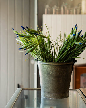 Weekly Flowers