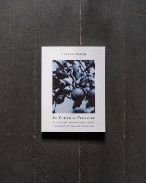 In Youth Is Pleasure by Denton Welch