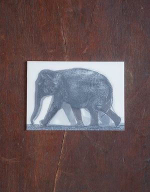 Lenticular Muybridge Elephant