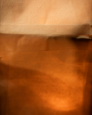 Tea Tree Paper Lantern Kit By The Hub General Store