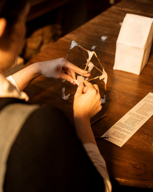 Tea Tree Paper Lantern Kit By The Hub General Store