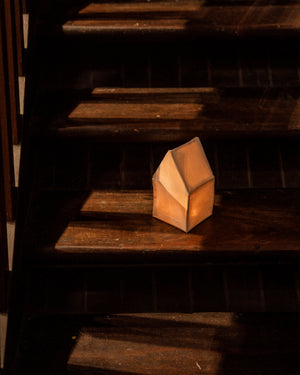 Tea Tree Paper Lantern Kit By The Hub General Store