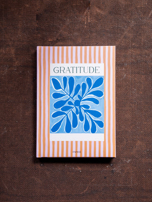Papier Stay Grounded A5 Gratitude Journal