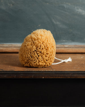Redecker Bath Sponge 14cm