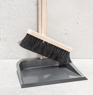 Tall Dustpan Brush with Beech Handle