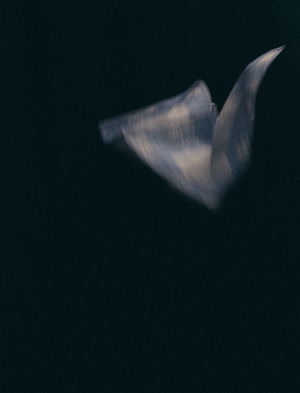 The Things We Keep 07/62 A3