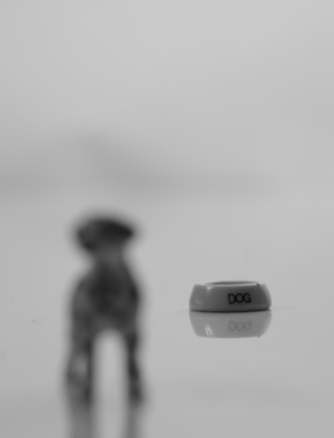 The Things We Keep 47/62 A3