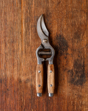 Secateurs With Ash Handle