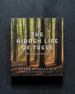 The Hidden Life of Trees - The Illustrated Edition