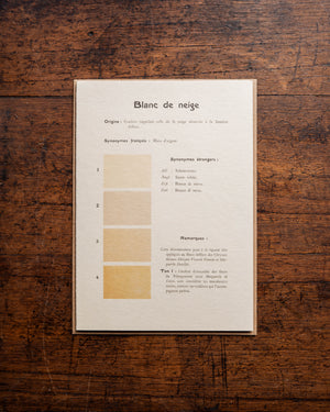 The Pattern Book Blanc de Neige Card