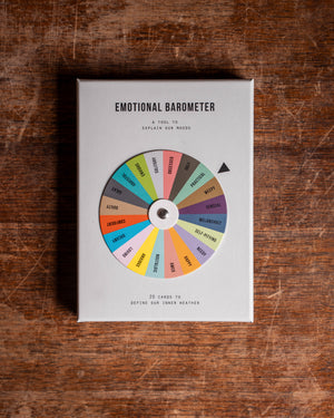 The School of Life Emotional Barometer