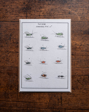 The Pattern Book Press Aphids Card